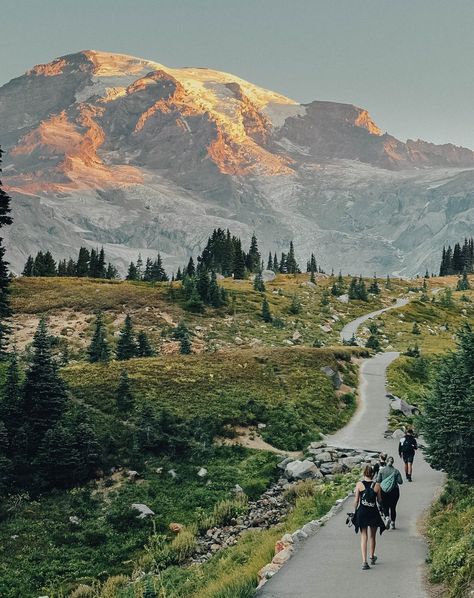 Best Hikes in Mount Rainier: 1) Skyline Loop Trail 2) Mount Fremont Lookout Trail 3) Tolmie Peak Trail Walking along the Skyline Loop Trail and seeing Mount Rainier being lit up from the sunrise right in front of me is a memory that I will not soon forget. Do you agree? What trails am I missing? #mountrainier #mountrainierhikes #mountrainiertrails #skylinelooptrail #mountfremontlookouttrail #tolmiepeaklookout Trail Walking, Big Rock, The Mountains Are Calling, The Sunrise, Walking Trails, Best Hikes, Hiking Trip, Mount Rainier, Hiking Trails