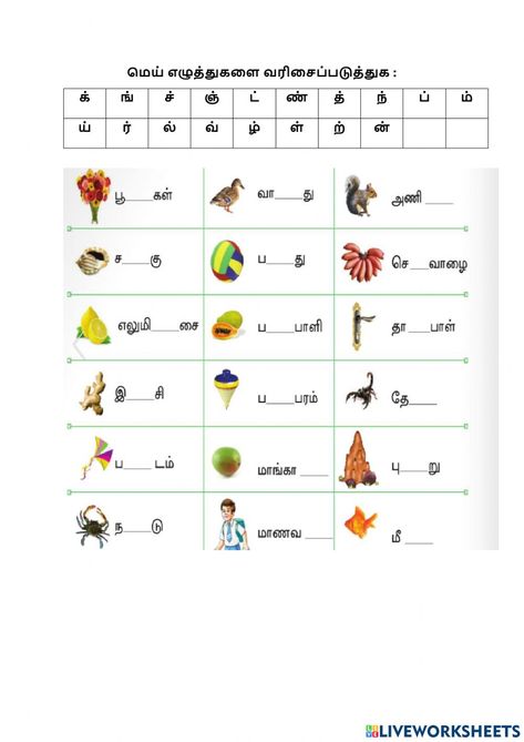 Worksheet For Ukg Tamil, Grade 5 Tamil Worksheets, Tamil Worksheets For Grade 2, Grade 2 Tamil Worksheets, Tamil Writing Worksheet, Tamil Worksheets For Grade 1, Tamil Worksheets For Class 2, Tamil Worksheets For Kids, Tamil Worksheets For Kindergarten