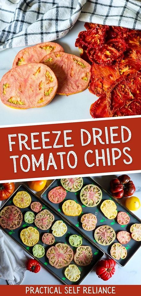 Learn how to make freeze dried tomato chips that last for years while retaining their fresh, vibrant flavor. Perfect for adding to your favorite recipes or enjoying as a healthy snack, freeze-dried tomatoes are a fantastic way to preserve your summer harvest. Find more food preservation, storing food ideas, preserving tomatoes, and Long Term Food Storage at practicalselfreliance.com. Freeze Dried Watermelon, Foods To Freeze Dry, Freeze Drying Tomatoes, Freeze Dried Snack Ideas, Freeze Dryer Recipes, Freeze Dried Food Recipes, Tomato Chips, Freeze Drier, Dried Eggs