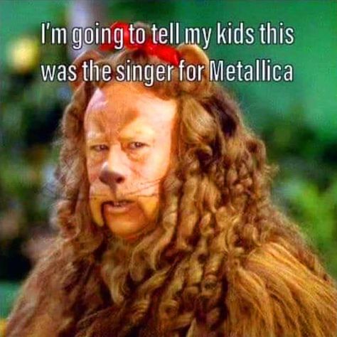 Classic Rock Character Time ? 🎸 🎸 😲 Wizard Of Oz Memes, Rock Character, Crazy Meme, 1980s Music, Dark Jokes, James Hetfield, 80s Music, Totally Awesome, Stone Cold