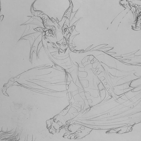 Rainwings Wof, Rainwing Oc, Dragon Poses, Dragon Anatomy, Dragon Drawings, Fire Drawing, Wings Of Fire Dragons, Dragon Sketch, Cool Dragons