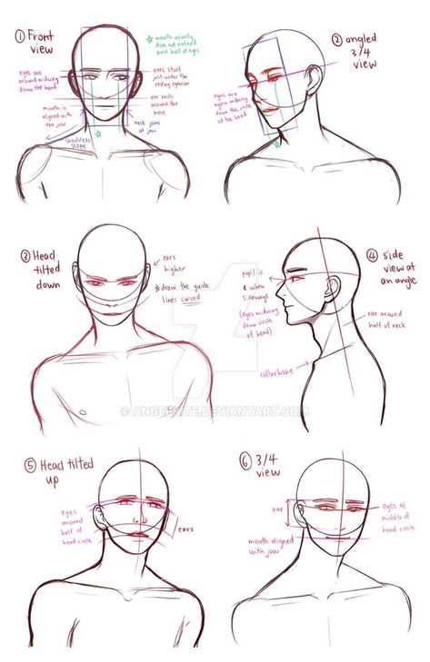 Male Head Side View Drawing, Male Atonamy, Male Atonamy Reference, Male Bust Drawing Reference, Bust Up Pose Reference Male, Male Bust Reference, Male Head Drawing Reference, 얼굴 드로잉, Head And Shoulders