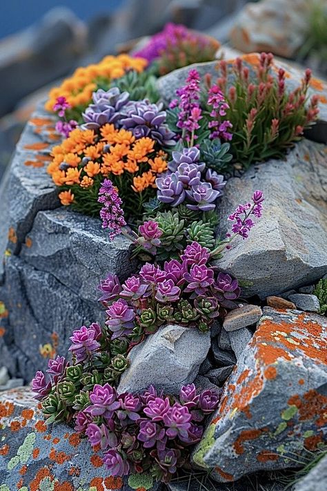 Succulent Rock Garden, Rockery Garden, Succulent Garden Landscape, Plants Beautiful, Front Garden Landscape, Small Front Yard Landscaping, Succulent Garden Design, Rock Garden Plants, Succulent Landscaping