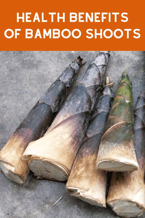 Bamboo Shoots Recipe, Bamboo Benefits, Beginner Vegan, Bamboo Roots, Baby Bamboo, Reference Pics, Healthier Choices, Bamboo Shoots, Asian Countries