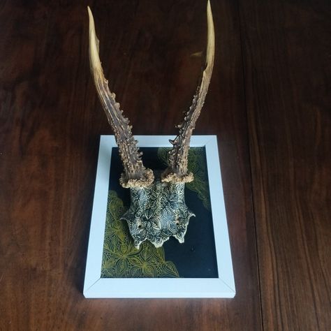 Black and gold hand painted deer skull with antlers Painted Deer Skull, Deer Skull With Antlers, Skull With Antlers, Painted Deer Skulls, Deer Skull Art, Skulls Art, Painted Deer, Deer Skull, Deer Skulls