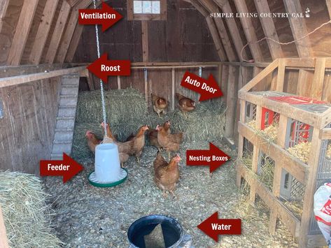 This easy guide on how to layout the inside of a chicken coop in a way that your flock will thrive in, as well as make it easy for you to maintain it. From food and water to laying eggs and protection. Get the reason why you need each component so you can choose the best area to locate it inside the coop. Milk Crate Nesting Boxes, Crate Nesting Boxes, Cool Chicken Coop, Pallet Backyard, Chicken Coop Layout, Decorating Backyard, Coop Layout, Inside Chicken Coop, Coop Decor