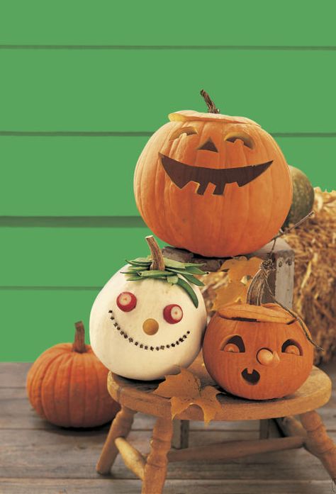 Last minute ideas for decorating your Halloween pumpkins Pumpkin Inspiration, Pumpkin Carving Kits, Pumpkin Pin, No Carve Pumpkin Decorating, Pumpkin Decorating Ideas, Annual Halloween Party, Pumpkin Contest, Pumpkin Decorations, Easy Diy Decor