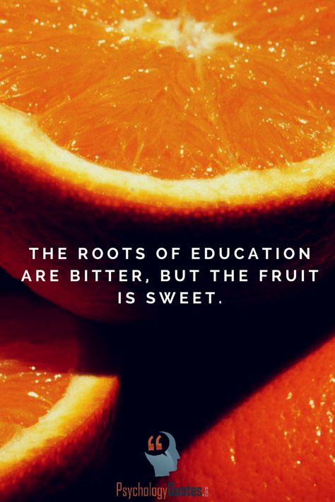 The roots of education are bitter, but the fruit is sweet.  The roots of education are bitter, but the fruit is sweet....  http://www.psychologyquotes.com/the-roots-of-education-are-bitter-but-the-fruit-is-sweet/ Healthy Vegan Diet, Health Journal, Vegan Diet, New Years Resolution, Lunch Ideas, Multivitamin, Food Items, Fitness Diet, Immune System