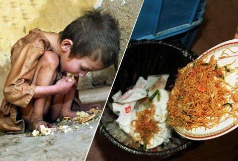 Food wastage is the dark yet overlooked issue of India. During the global crisis of Corona, many major and developed countries of the world have evaluated their World Food Day, Food Wastage, Food Day, Dry Bread, World Hunger, World Food, India Food, Eat Fruit, Frozen Meals