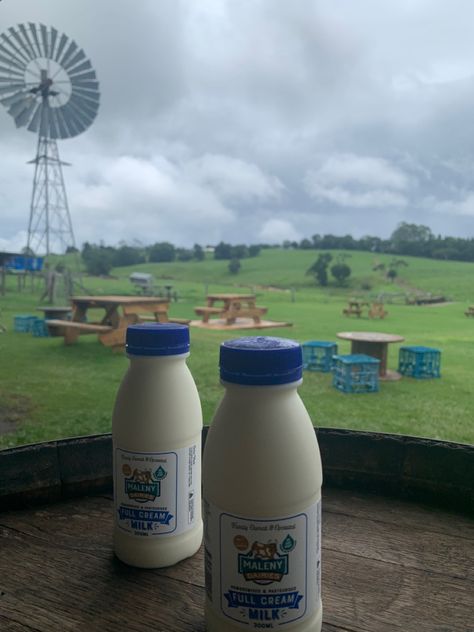 milk bottles farm fresh milk aesthetic white milk farm fair aesthetic cow milk minimalistic style containers milk tea core mouthwatering delicious yummy soft look farm core clean farmland aesthetic cottage core picnic spot in brisbane queensland Milking Cows Aesthetic, Cow Milk Aesthetic, Milk Aesthetic White, Fresh Milk Aesthetic, Farmland Aesthetic, Tea Core, Cottage Core Picnic, Milk Aesthetic, Aesthetic Cow