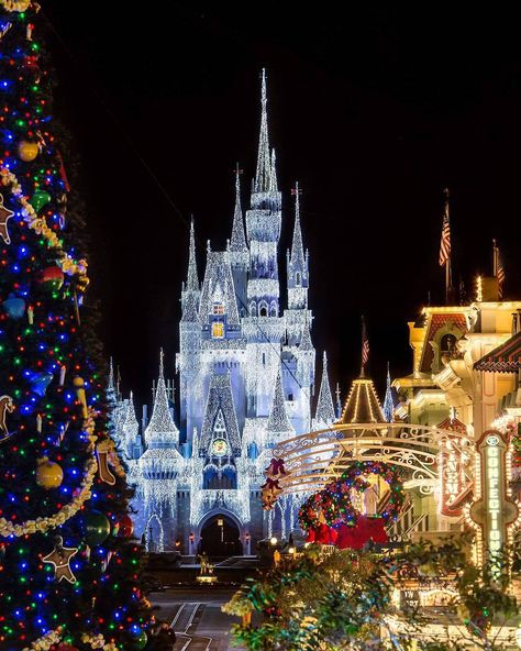 “It's officially Christmastime in Magic Kingdom, the Dreamlights have been turned on! *Picture from last year, I will be back in the parks soon! View the…” Chateau Disney, Disney World Christmas, Disney Phone Wallpaper, Disney Side, Disney Magic Kingdom, Cinderella Castle, Disney Photos, Disney Holiday, Disney Castle