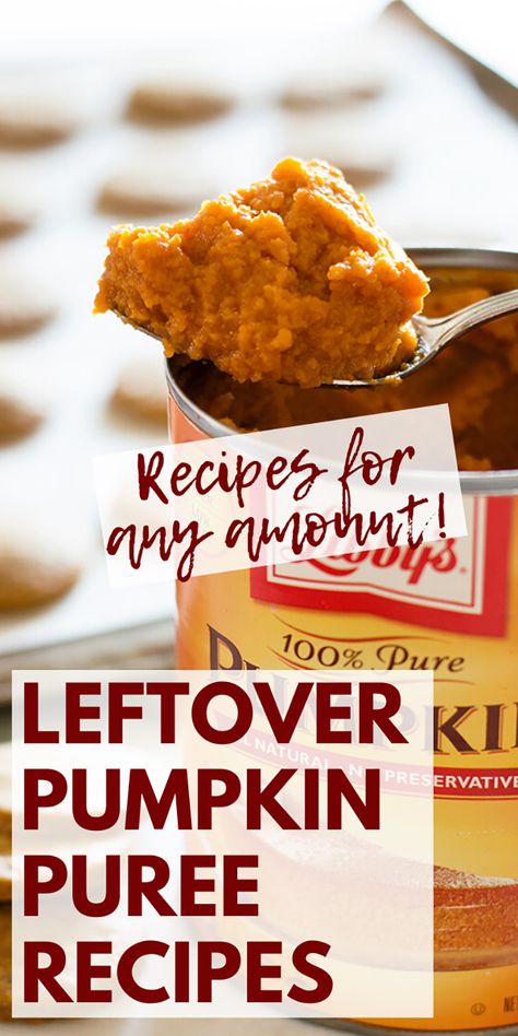 Leftover Pumpkin Puree, Canned Pumpkin Recipes, Puree Recipes, Paleo Pumpkin Pie, Pumpkin Puree Recipes, Vegan Pumpkin Spice, Pumpkin Recipes Easy, Leftover Pumpkin, Paleo Pumpkin