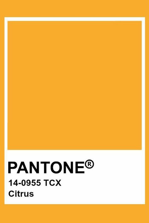 Yellow Colour Pantone, Pantone Tcx Yellow, Yellow Pantone Colour Palettes, Pantone Colors Yellow, Yellow Pantone Color, Autumn Pantone, Gold Pantone Color, Yellow Gold Wallpaper, Pantone Orange