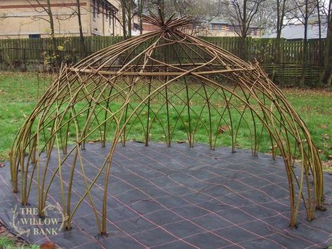 Willow Dome / TeePee - The Willow Bank Living Willow Structures, Willow Dome, Willow Structures, Garden Huts, Living Willow, Bamboo Building, Fire Pit Landscaping, Late November, Willow Branches