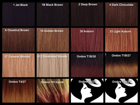 Caramel Brown Hair Colour Chart - Best Off the Shelf Hair Color Check more at http://www.fitnursetaylor.com/caramel-brown-hair-colour-chart/ Schwarzkopf Hair Color Chart, Chestnut Brown Hair Color, Dark Chocolate Hair Color, Caramel Brown Hair Color, Light Golden Brown Hair, Dark Auburn Hair Color, Brown Hair Color Chart, Hair Color Brown Chestnut, Auburn Hair Color