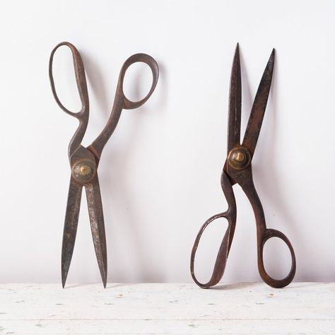 Antique Tailors Shears Scissors 19th Century Metal Antique Scissors, Scissors Vintage, Japanese Scissors, Metal Scissors, Vintage Scissors, Vintage Sewing Notions, Sewing Scissors, Antique Tools, Sewing Items