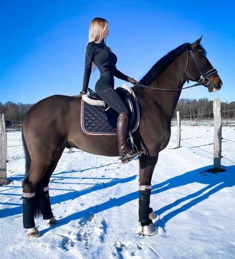 Winter Horse Riding Outfit, Chasing Money, Pictures With Horses, Horse Riding Outfit, Winter Horse, Equestrian Aesthetic, Thriller Novels, Hobby Horses, Horse Fashion