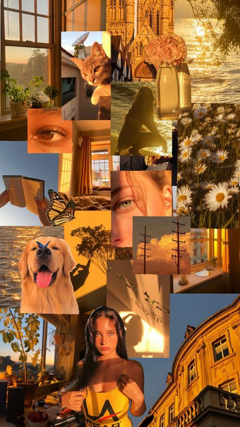 Golden hour ✨ #goldenhour #golden #aesthetic #goldenhouraesthetic Golden Hour Birthday Party, Golden Hour Party, Travel Views, Golden Aesthetic, Golden Hour Aesthetic, Hour Aesthetic, Kay Kay, Cozy Places, Orange Wine