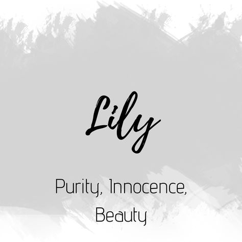 Lily Name Aesthetic, Lilly Name, Lily Name, Lily Lettering Name, Lily Symbolism Meaning, Lily Name Wallpaper, Lily Name Meaning, Lilia Name Meaning, Lilian Name Meaning