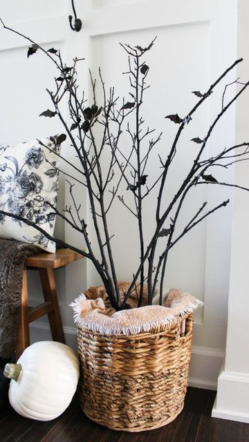 Lisy | Home Decor On A Budget + DIY on Instagram: "Check out this super easy DIY Halloween craft! Birch Branches with bats! 🖤🦇 I love an easy DIY, especially when I get the look I want and save money doing it! 🙌 I found these branches around the neighborhood and had to take them home. With just a little black spray paint and some bats these old branches become the focal point of my entryway! What do you think? #diyhalloween #diyhalloweendecorations #birchbranches #diybirchtrees #diyhallowe Entryway Halloween Decorations, Stick Halloween Decor, Halloween Branch Decor, White Twig Tree, Halloween Home Decor Ideas, Chic Halloween Decor, Elegant Halloween Decor, Halloween Yard Art, Twine Diy