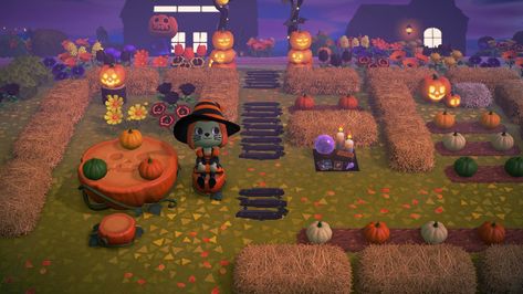 Pumpkin Carriage, Pretty Halloween, Halloween Animals, Animal Crossing Game, Halloween Town, Pumpkin Patch, Halloween Themes, Animal Crossing, Fall Halloween