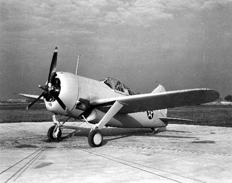 December 2, 1937: First flight of the Brewster F2A Buffalo Brewster Buffalo, Hawker Tempest, Hawker Typhoon, Supermarine Spitfire, British Aircraft, P51 Mustang, Air And Space Museum, Military Aviation, Wwii Aircraft