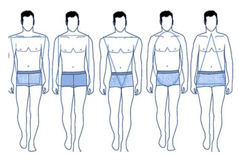 Mens Body Types, Drink Business, Mens Body, Dress Body Type, Body Type Drawing, Anatomy Tutorial, Fashion Silhouette, Normal Body, Creative Drawing Prompts