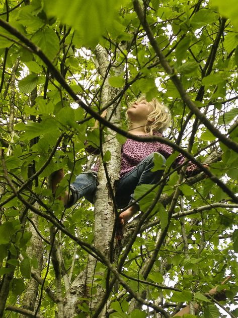 Why We Must Protect and Nurture Our Children's Sense of Wonder. Rain or Shine Mamma. #senseofwonder #nature #friluftsliv Connected With Nature, Climbing Trees, Kids Climbing, Tree Climbing, Irrational Fear, Climb Trees, Emotional Resilience, Nature Play, Stop Worrying