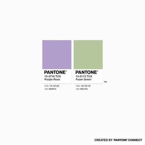 Purple Rose & Foam Green Light Green And Purple Color Palette, Purple And Green Colour Scheme, Purple And Green Branding Board, Lavender Color Combo, Green And Purple Pallete, Purple Green Aesthetic Pastel, Green And Lilac Aesthetic, Purple Green Colour Palette, Purple And Green Mood Board