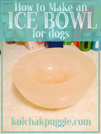 On a hot day, Koly and Fe LOVE a flavoured ice bowl. Not only does it keep your dog's water cold, as the day gets hotter, more of the flavoured ice melts encouraging them to drink more and stay hydrated! Ice Bowl, Dog Water Bowls, Flavor Ice, Pet Hacks, Dog Recipes, Dog Treat Recipes, Hot Day, Water Bowl, Pet Treats