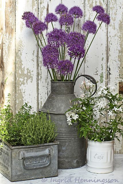 Sweetly Scented Zinc and Enamel | Flickr - Photo Sharing! Best Front Doors, Porch Planters, Have Inspiration, Front Porch Decorating, Porch Design, Deco Floral, Cool Ideas, Flowers Garden, Vintage Garden