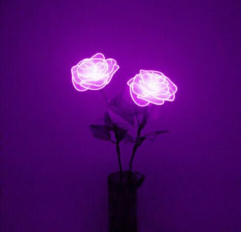 Glowing In The Dark, Violet Aesthetic, Pretty Photography, Neon Aesthetic, All Things Purple, Neon Art, Aesthetic Colors, Purple Rain, Purple Wallpaper