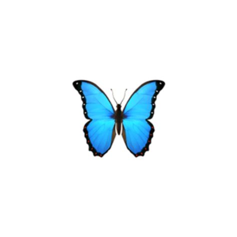 #butterfly #emoji #blue #butterflys #iphone #imoji #applemoji #freetoedit Blue Butterfly Emoji, Butterfly Emoji, Iphone Png, Emoji Copy, Ios Emoji, Icon Emoji, Blue Emoji, Iphone Stickers, Emoji Backgrounds