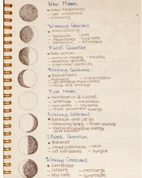 Moon Phases Moon Phases And Meanings, Moon Journal Ideas, Moon Phases Circle, Moon Phase Project, Moon Phases Activities, The Moon Phases, Moon Phase Calendar, Moon Journal, Moon Cycles