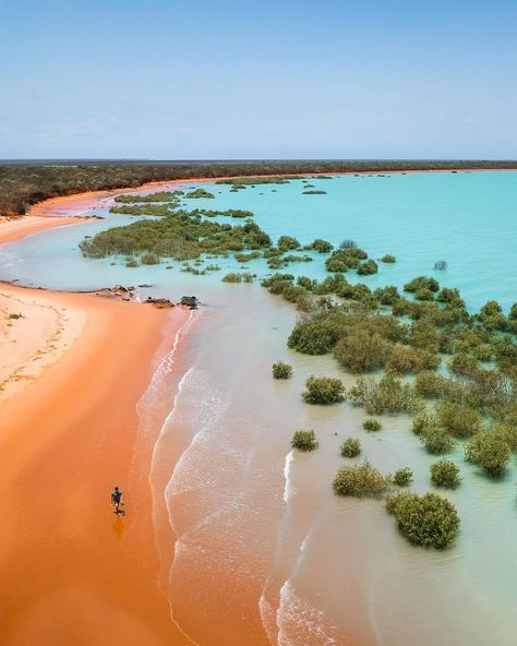 Broome is a breathtaking coastal town nestled in the Kimberley region of Western Australia, where turquoise waters meet the rich red earth of the outback. Renowned for its incredible wildlife spotting, this charming destination is a must-see on any trip to Australia 🇦🇺 🐫 Have you visited Broome? 📷: @earthwithtom #VirtuosoTravel #SoVirtuoso Kimberleys Western Australia, Broome Western Australia, Goals Vision Board, Trip To Australia, Red Earth, Outback Australia, Vision Board Goals, Coastal Town, Coastal Towns