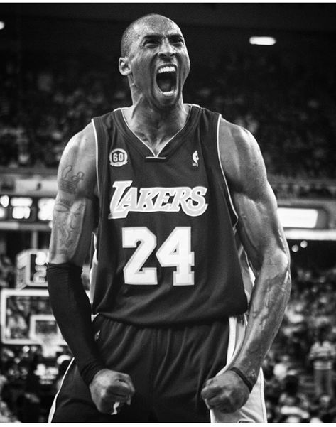 Lebron James Championship, Kobe Bryant Poster, Kobe Mamba, Chris Bosh, Nba History, Kobe Bryant Pictures, Kobe Bryant Black Mamba, Lakers Kobe Bryant, Kobe Bryant Wallpaper