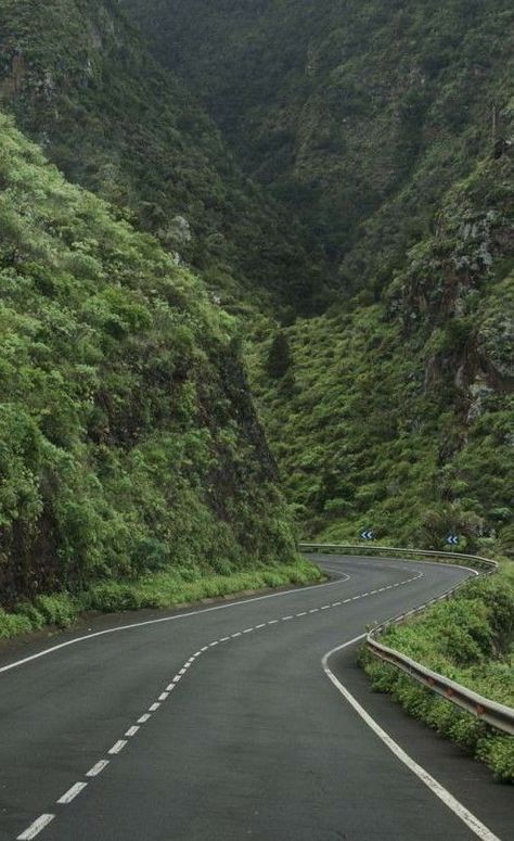 Designer Art, Hill Station, Stockholm Sweden, Stockholm, Sweden, Road, Green