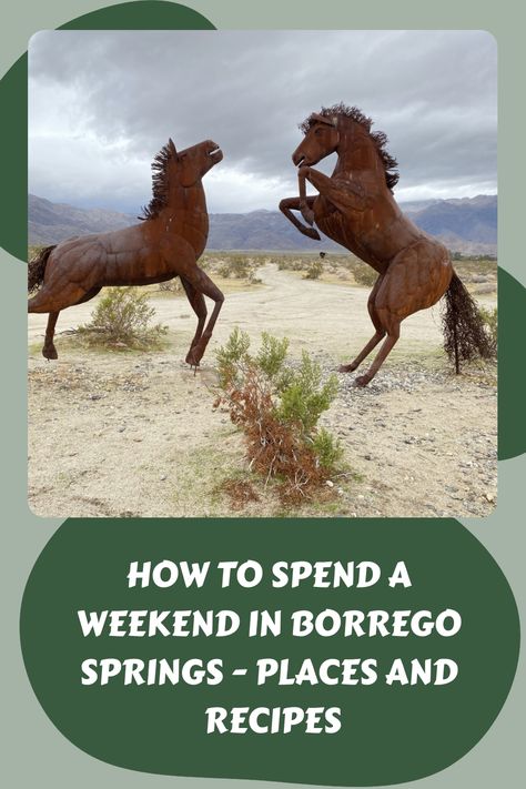 Borrego spring is a little town located just in the middle of Anza Borrego State Park.Here is how to spend a weekend in Borrego Springs. Anza Borrego State Park, Imperial County, Borrego Springs, Anza Borrego, Northeast Region, Instagram Popular, California Desert, Mammoth Lakes, Desert Plants