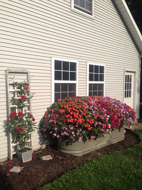 Impatiens planted in a horse trough. Horse Trough, Patio Container Gardening, Garden Troughs, Vegetable Garden Beds, Water Trough, Vegetable Garden Raised Beds, Container Garden Design, Trough Planters, Container Gardening Flowers