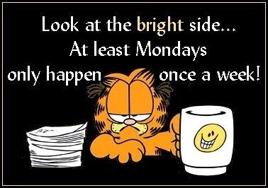 A little poem I wrote about Mondays! #mandigirlhubpages Garfield Monday, Monday Morning Blues, Monday Images, Funny Facebook Status, I Hate Mondays, Manic Monday, Monday Humor, Hate Mondays, Facebook Quotes