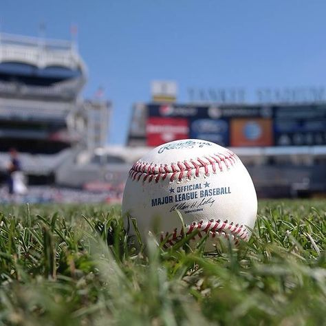 Spring Training Baseball, Spring Training, Baseball