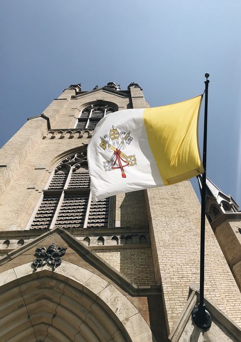 Catolico Aesthetic, Catholic Aesthetic, Notre Dame Basilica, Catholic Wallpaper, Traditional Catholicism, Church Aesthetic, Legendary Pictures, Catholic Pictures, Christian Love