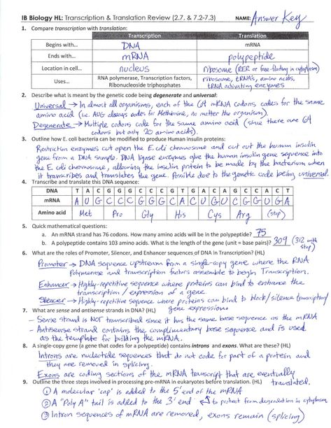 Review worksheet answer key covering IB Biology content on Transcription and Translation (Topics 2.7, 7.2, and 7.3) Translation Biology, Dna Transcription And Translation, Protein Biology, Dna Transcription, Pancakes Protein, Biology College, Biology Worksheet, Transcription And Translation, Biology Classroom