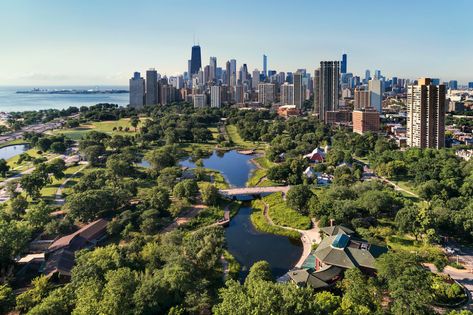 Aerial South Pond Lincoln Park | Aerial view of the south po… | Flickr Travel Illinois, Lincoln Park Zoo Chicago, Lincoln Park Conservatory, Chicago Living, Lincoln Park Chicago, Lincoln Park Zoo, Urban Heat Island, Eco Friendly Building, Professional Drone