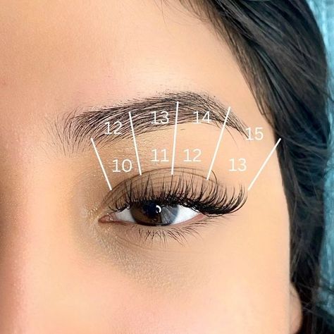 Eyelash Extension Mapping Inspo | PLA Lash Mapping Eyelash Extension Mapping, Cat Eye Lash Map, Lash Fans, Lash Map, Lash Mapping, Cat Eye Lash, For Lash, Beauty Services, Nail Supply