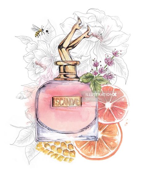 Decorative illustration for Scandal's perfume bottle Perfume Art Painting, Scandal Perfume, Kate Spade Perfume, Perfume Logo, Logo Online Shop, Perfume Art, Bottle Drawing, Alchemy Art, Perfume Bottle Design