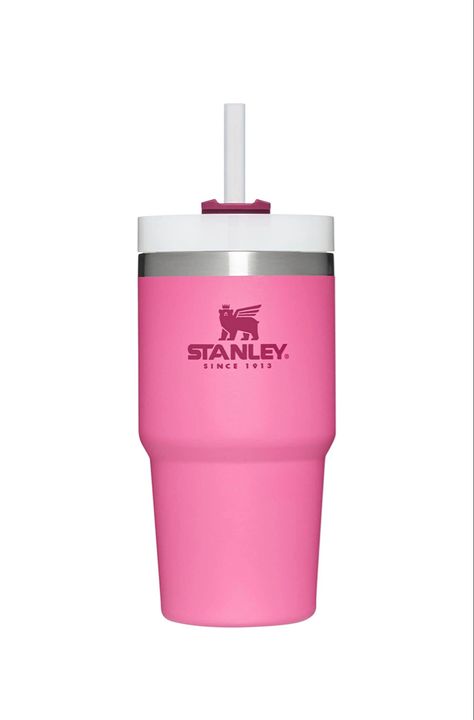 KIDS 20 oz STANLEY CUP #stanley #amazonfinds Stanley Cup Without Handle, Stanley Cup 14oz, Mini Stanley Cup Pink, 20 Oz Stanley Cup, Mini Pink Stanley, Baby Stanley Cup, Stanley 20 Oz, 20oz Stanley Cup, Stanley Cup 20 Oz