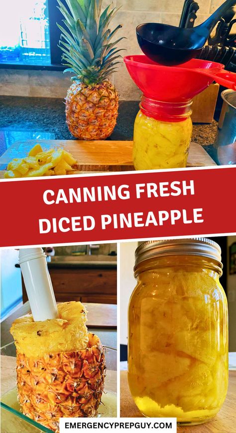 Step-by-step guide for canning fresh diced pineapple, featuring peeled pineapple being cored, diced pieces prepared for jars, and filled jars ready for preservation. Canning For Beginners Recipes, Canning Juice Recipes, Canning Drinks, Canning Pineapple, Homemade Preserves, Pressure Canning Recipes, Canning 101, Veggie Gardens, Canning Ideas