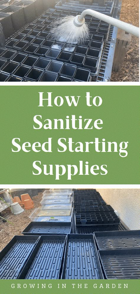 Save Seeds, Bacterial Diseases, Seed Storage, Starting Seeds, Indoor Greenhouse, Starting Seeds Indoors, Seed Saving, Greenhouse Gardening, Farm Garden