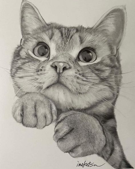 Realistic Cat Drawing, Realistic Animal Drawings, Cat Art Painting, Cat Drawing Tutorial, Cats Art Drawing, Pencil Drawings Of Animals, Cat Sketch, Animal Portraits Art, 수채화 그림